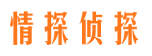 东西湖市婚外情调查